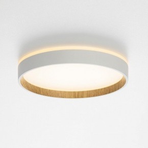Накладной светильник Citilux Etalon CL750240 в Троицке - troick.ok-mebel.com | фото 4