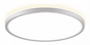 Накладной светильник Citilux NORMA CL748320 в Троицке - troick.ok-mebel.com | фото