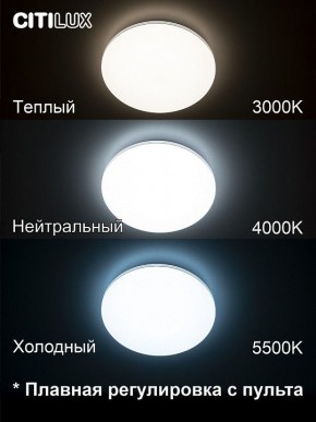Накладной светильник Citilux Симпла CL714330G в Троицке - troick.ok-mebel.com | фото 4