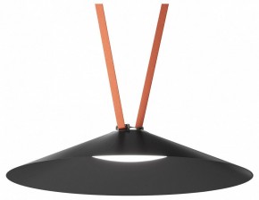 Накладной светильник Denkirs Belty Flow DK5568-BK в Троицке - troick.ok-mebel.com | фото 2