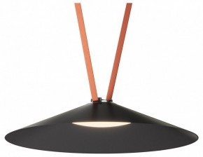 Накладной светильник Denkirs Belty Flow DK5569-BK в Троицке - troick.ok-mebel.com | фото 2