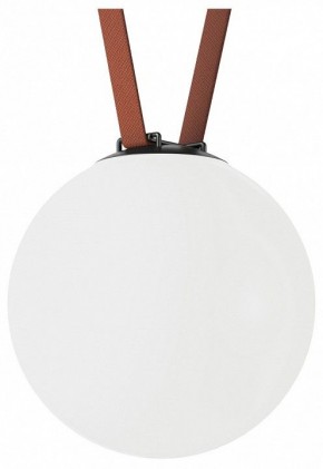 Накладной светильник Denkirs Belty Orb DK5554-BK в Троицке - troick.ok-mebel.com | фото