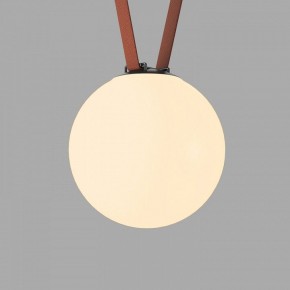 Накладной светильник Denkirs Belty Orb DK5555-BK в Троицке - troick.ok-mebel.com | фото 2