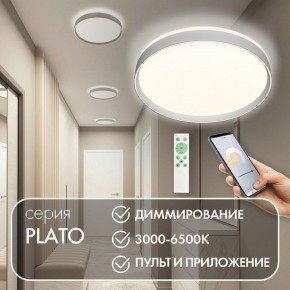 Накладной светильник Denkirs PLATO DK6511-WH/1 в Троицке - troick.ok-mebel.com | фото 4