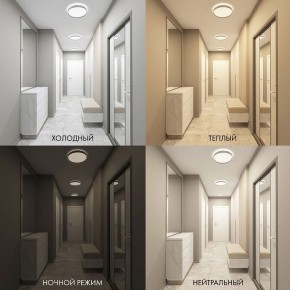 Накладной светильник Denkirs PLATO DK6511-WH/1 в Троицке - troick.ok-mebel.com | фото 5