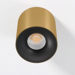Накладной светильник Elektrostandard Primo 25116/LED в Троицке - troick.ok-mebel.com | фото 2