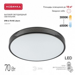 Накладной светильник Эра Классик SPB-6-70-RC Liburn в Троицке - troick.ok-mebel.com | фото 10