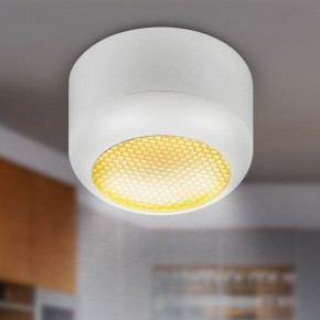 Накладной светильник Эра  OL56 WH в Троицке - troick.ok-mebel.com | фото 8