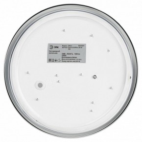 Накладной светильник Эра Relict Relict 22 SPB-6-20 4К WH в Троицке - troick.ok-mebel.com | фото 4
