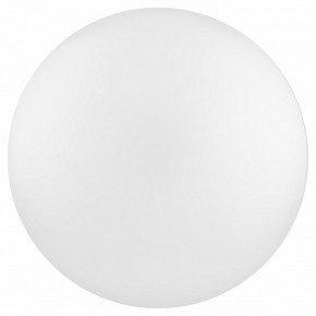 Накладной светильник Эра Relict Relict 38 SPB-6-40 4К WH в Троицке - troick.ok-mebel.com | фото 2