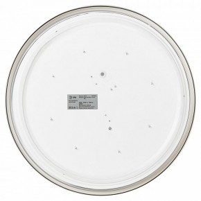 Накладной светильник Эра Relict Relict 38 SPB-6-40 4К WH в Троицке - troick.ok-mebel.com | фото 4