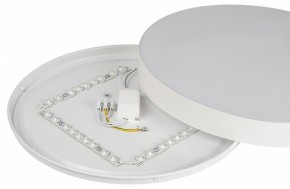 Накладной светильник Эра Relict Relict 38 SPB-6-40 4К WH в Троицке - troick.ok-mebel.com | фото 7