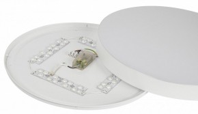 Накладной светильник Эра Relict Relict 48 Pult SPB-6-60-RC WH в Троицке - troick.ok-mebel.com | фото 11