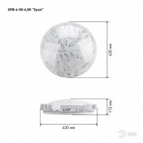 Накладной светильник Эра Relict SPB-6-50-6,5K Syuzi в Троицке - troick.ok-mebel.com | фото 3