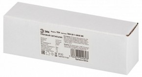 Накладной светильник Эра  TRM-S5-1-6W4K-BK в Троицке - troick.ok-mebel.com | фото 6