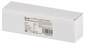 Накладной светильник Эра  TRM-S5-1-6W4K-WH в Троицке - troick.ok-mebel.com | фото 6