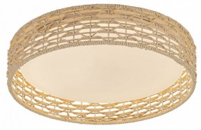 Накладной светильник F-promo Conrad 4749-4C в Троицке - troick.ok-mebel.com | фото 2