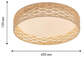 Накладной светильник F-promo Conrad 4749-4C в Троицке - troick.ok-mebel.com | фото 3