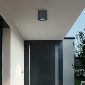 Накладной светильник Favourite Fantum 4663-1U в Троицке - troick.ok-mebel.com | фото 3