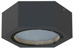 Накладной светильник Favourite Fantum 4667-1U в Троицке - troick.ok-mebel.com | фото