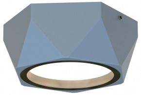 Накладной светильник Favourite Fantum 4669-1U в Троицке - troick.ok-mebel.com | фото