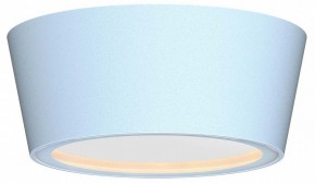 Накладной светильник Favourite Fantum 4676-1U в Троицке - troick.ok-mebel.com | фото