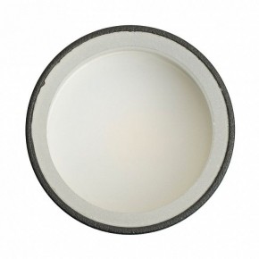 Накладной светильник Feron ML100 51369 в Троицке - troick.ok-mebel.com | фото 8