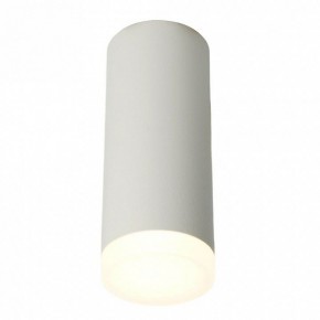 Накладной светильник Feron ML102 51389 в Троицке - troick.ok-mebel.com | фото 2