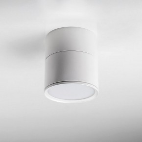 Накладной светильник Lightstar Acuto 215886 в Троицке - troick.ok-mebel.com | фото 3