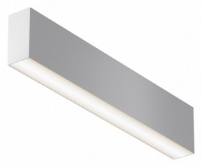 Накладной светильник Maytoni Basis C068CL-20W3-6K-W в Троицке - troick.ok-mebel.com | фото