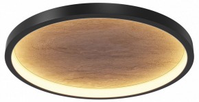 Накладной светильник Maytoni Orign MOD311CL-L40B3K в Троицке - troick.ok-mebel.com | фото