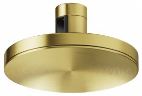 Накладной светильник Maytoni Plato TR152-1-7W4K-BS в Троицке - troick.ok-mebel.com | фото