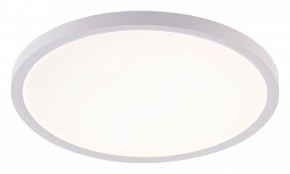 Накладной светильник Natali Kovaltseva PLAIN LED LAMPS 81113/3C в Троицке - troick.ok-mebel.com | фото