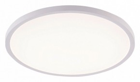 Накладной светильник Natali Kovaltseva PLAIN LED LAMPS 81113/4C в Троицке - troick.ok-mebel.com | фото