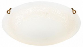 Накладной светильник Sonex Ammonite 7602/DL в Троицке - troick.ok-mebel.com | фото 3