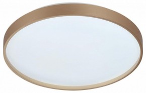 Накладной светильник Sonex Gaby 7783/DL в Троицке - troick.ok-mebel.com | фото 4