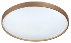 Накладной светильник Sonex Gaby 7783/EL в Троицке - troick.ok-mebel.com | фото 4