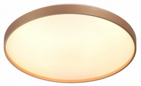 Накладной светильник Sonex Gaby 7783/EL в Троицке - troick.ok-mebel.com | фото 5