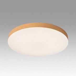 Накладной светильник Sonex Gamma 7761/50L в Троицке - troick.ok-mebel.com | фото 3
