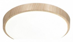 Накладной светильник Sonex Losta 7607/CL в Троицке - troick.ok-mebel.com | фото 4