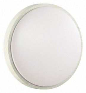 Накладной светильник Sonex Losta 7628/DL в Троицке - troick.ok-mebel.com | фото 6