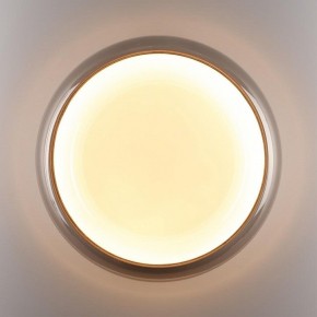 Накладной светильник Sonex PORTMAN 7777/DLN в Троицке - troick.ok-mebel.com | фото 6