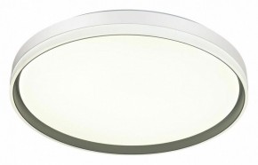 Накладной светильник Sonex Savi 7631/EL в Троицке - troick.ok-mebel.com | фото 5