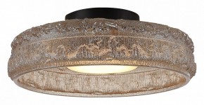 Накладной светильник ST-Luce ANTIKE SL6143.422.01 в Троицке - troick.ok-mebel.com | фото 3