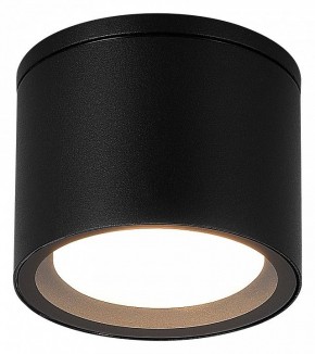 Накладной светильник ST-Luce Tubo SL9006.402.01 в Троицке - troick.ok-mebel.com | фото 2