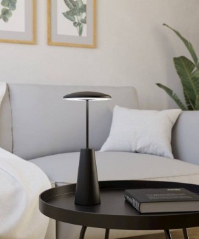 Настольная лампа декоративная Eglo PICCOLA 900925 в Троицке - troick.ok-mebel.com | фото 4