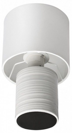Настольная лампа декоративная Lumion Tuala 8144/1Т в Троицке - troick.ok-mebel.com | фото 3