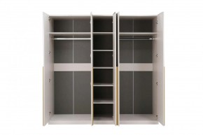 НИКОЛЬ 25 Шкаф 5-ти створчатый в Троицке - troick.ok-mebel.com | фото 3