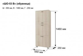 ШО-53 В тумба для обуви в Троицке - troick.ok-mebel.com | фото 8