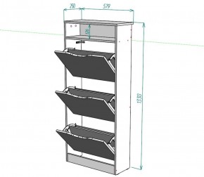 Обувница W10 (ДСС) в Троицке - troick.ok-mebel.com | фото